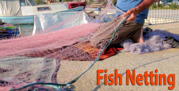 Fish Netting Fish Netting