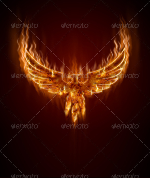 Phoenix From Fire Phoenix From Fire