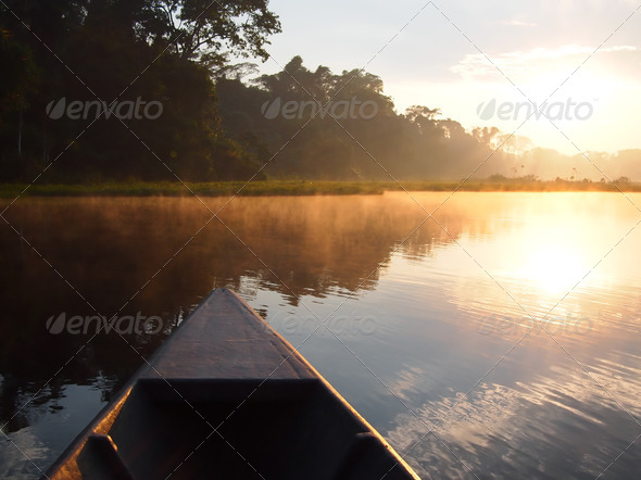 Amazon rainforest sunrise