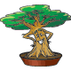 midwestbonsai