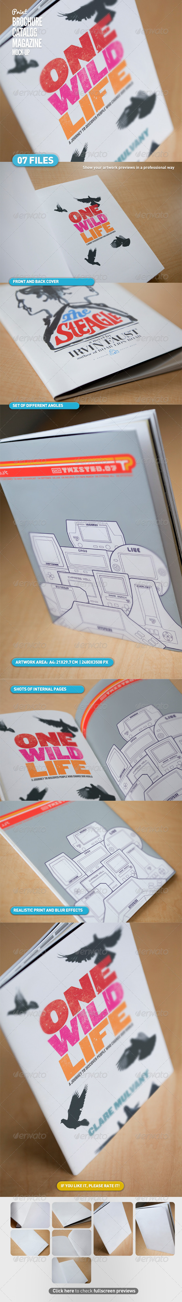 Brochure Catalog Magazine Mock-Up Brochure Catalog Magazine Mock-Up