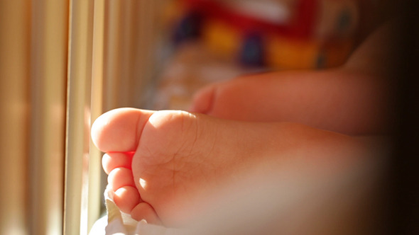 Baby s Foot in the Sunlight 3 Baby s Foot in the Sunlight 3