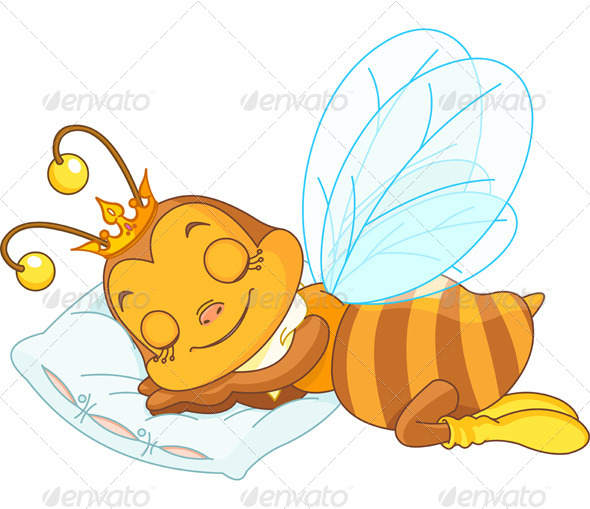 Sleeping Bee Sleeping Bee