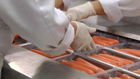 Sausage Packing Line Sausage Packing Line