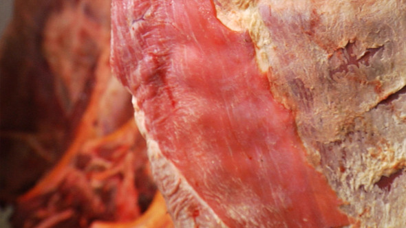 Raw Meat 4 Raw Meat 4