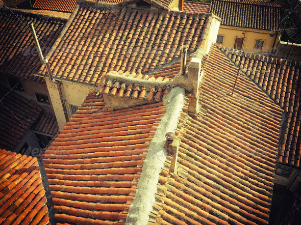 Old tile roofs