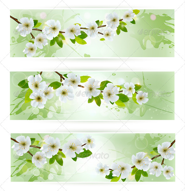 Three Nature Banners with Blossoming Tree Branches Three Nature Banners with Blossoming Tree Branches
