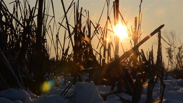 Winter Sunset 2 Winter Sunset 2