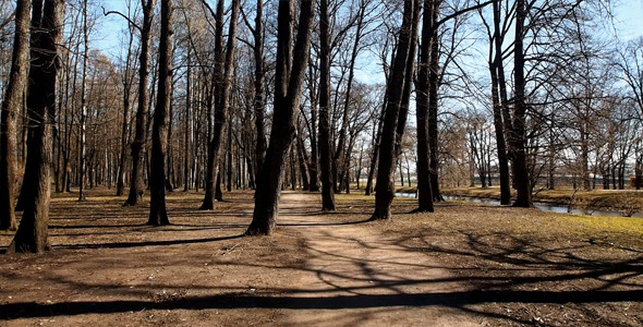 City Park City Park