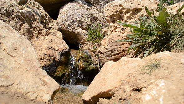 Spring Flows Among Stones Spring Flows Among Stones