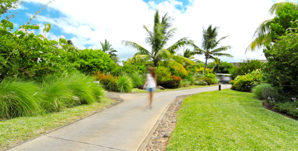 Tropical Landscape Tropical Landscape