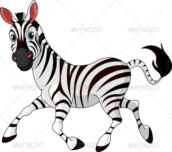 Funny Running Zebra Funny Running Zebra