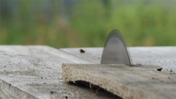 Circular Saw Circular Saw