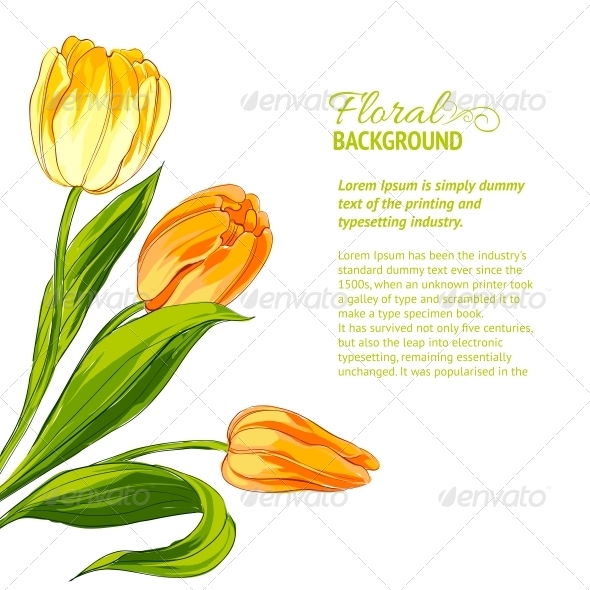 Tulip Bouquet Tulip Bouquet