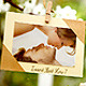 Photos Hanging in an Orchard Photos Hanging in an Orchard - VideoHive Item for Sale