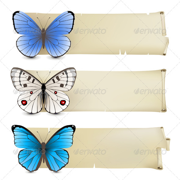 Butterfly Banners Butterfly Banners