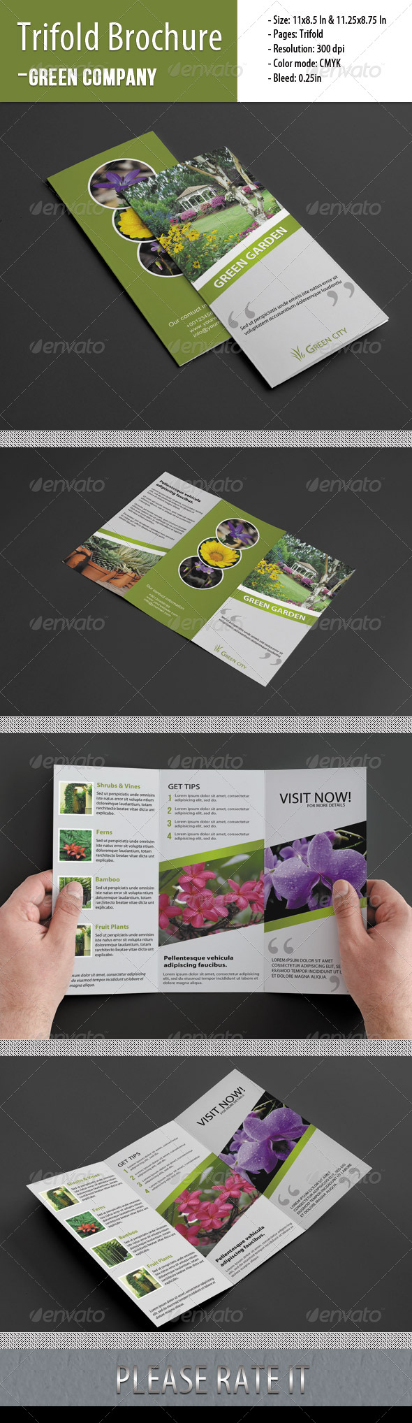 Trifold Brochure For Green Company Trifold Brochure For Green Company
