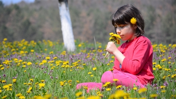 Girl Picking Flowers 2 Girl Picking Flowers 2
