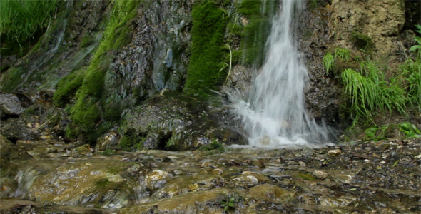 Waterfalls in the Forest Waterfalls in the Forest