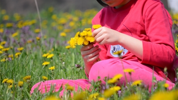 Girl Picking Flowers 3 Girl Picking Flowers 3