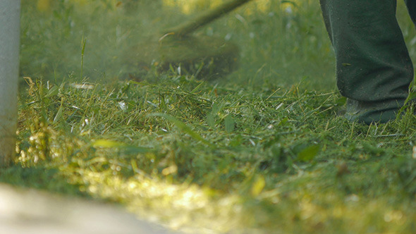 Grass Cutting 1 Grass Cutting 1
