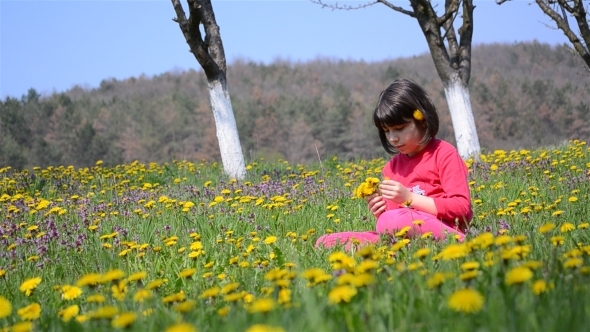 Girl Picking Flowers 4 Girl Picking Flowers 4