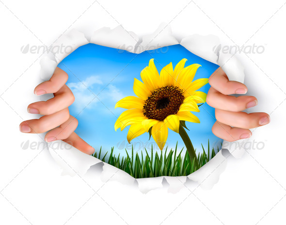 Nature Background with Hands Ripping a Paper