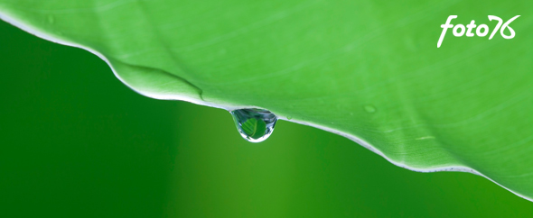 Homepageimage 590x242
