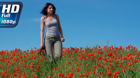 Walk in the Poppy Field Walk in the Poppy Field