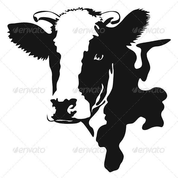 Vector Illustration of a Cow Head