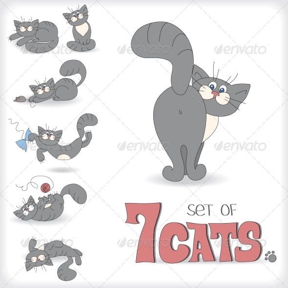 Seven Playful Cats
