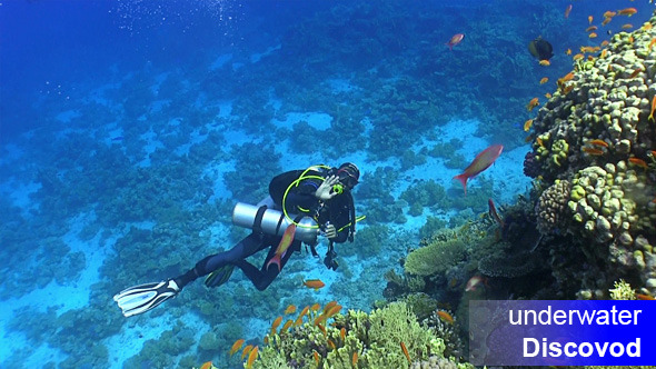 Diver Swims Over Coral Reefs Diver Swims Over Coral Reefs