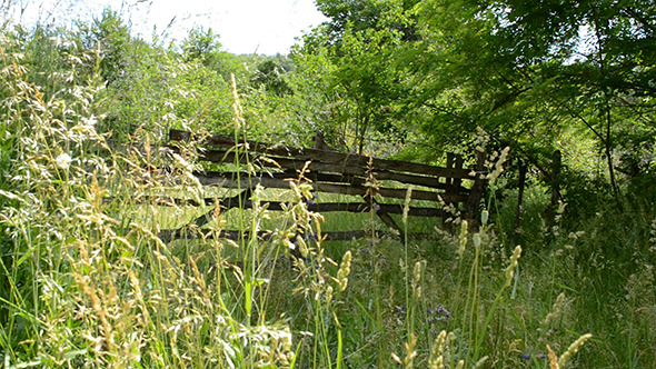 Wooden Gate to the Orchard Wooden Gate to the Orchard