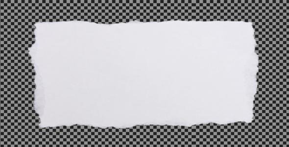 Paper Elements (White) by AvidEditor : VideoHive