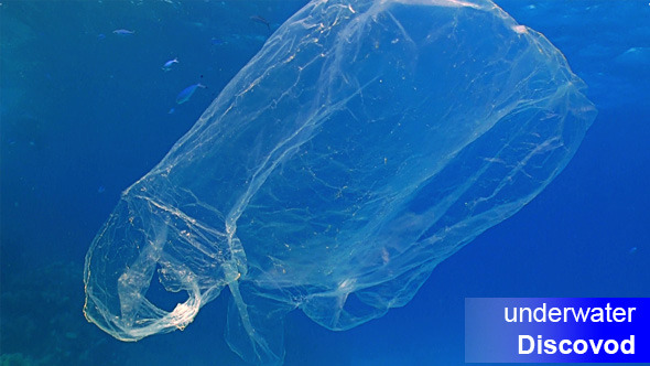 Plastic Bag Floating In Ocean 2 Plastic Bag Floating In Ocean 2