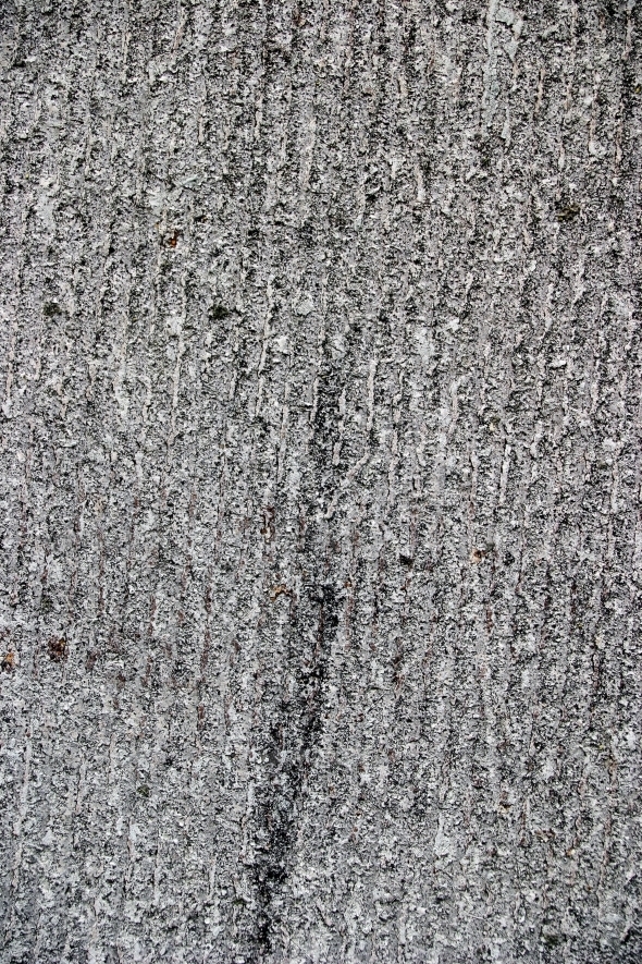 Cracked grunge skate background Cracked grunge skate background