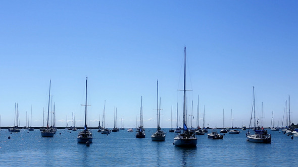 Many Sail Boats and Masts in a Marina 2 Many Sail Boats and Masts in a Marina 2