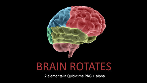 Brain Rotates Brain Rotates