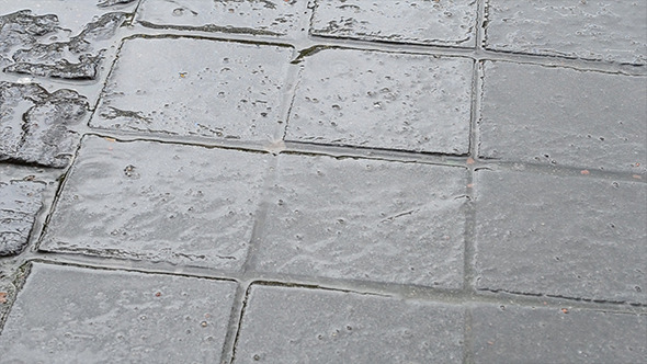 Rain Drops on Paved Street Rain Drops on Paved Street