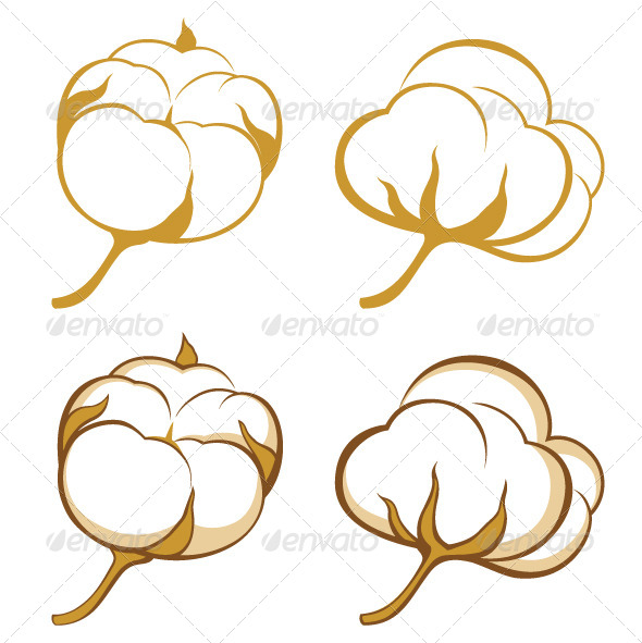 Cotton Cotton