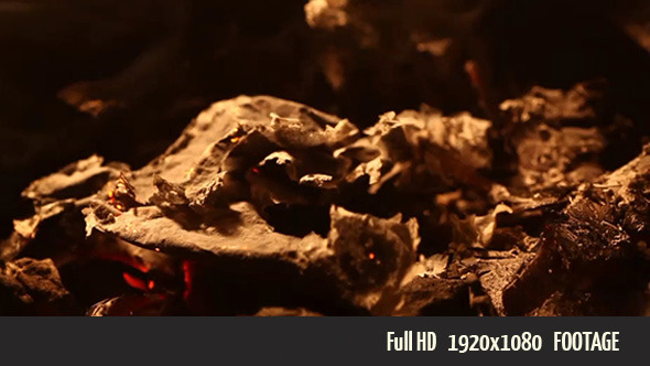 Burning Paper 4 Burning Paper 4