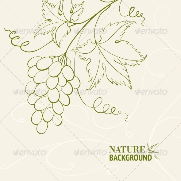 Grape Wine Card.