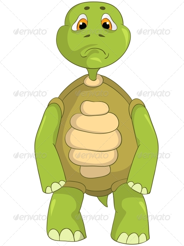 Sad Turtle Sad Turtle