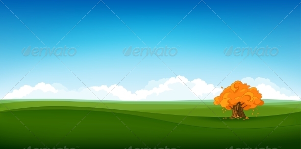 Field Landscape Field Landscape