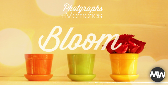 Photographs and Memories Bloom 4974510   - shareDAE