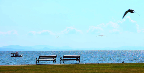 Landscape Landscape