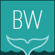 bravewhale