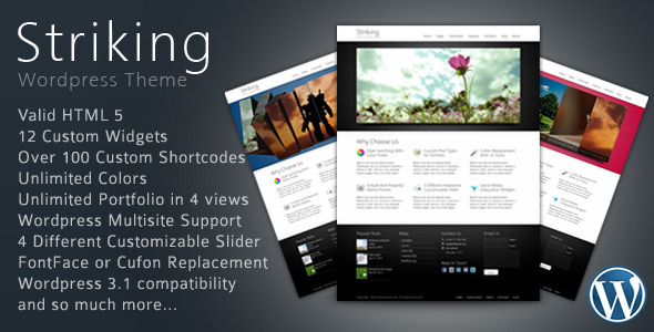 Striking Premium Corporate & Portfolio WP Theme - ThemeForest Item for Sale