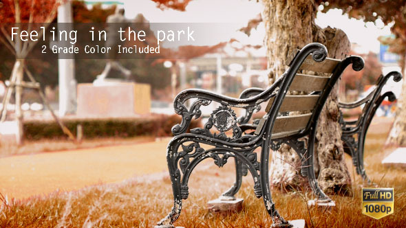Feeling in the Park Feeling in the Park