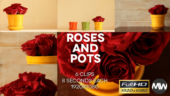 Roses and Pots Pack of 6 Roses and Pots Pack of 6